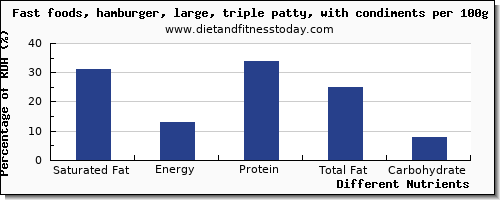 chart to show highest saturated fat in hamburger per 100g